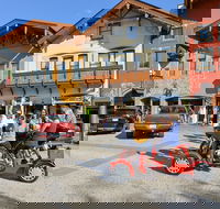 Small-Group Family-Friendly Private Cycling Sightseeing Tour - Accommodation Missouri