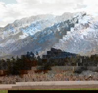 Mountain View E-Bike Experience - Accommodation Missouri