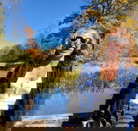 Scenic Guided Motorcycle Tours by MotoPlaN8 Handlebars - Accommodation Missouri