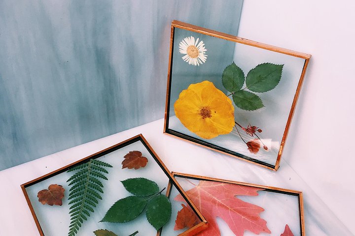 Pressed Flower Coasters