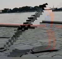 Norfolk Chronicles Walking History Tour - Accommodation Missouri