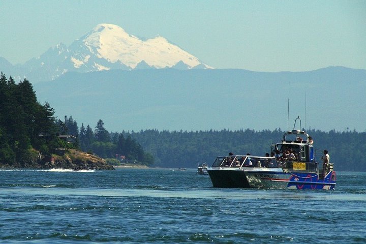 Jet Boat Tour to Deception Pass