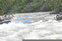 Alder Grove Wa Accommodation Missouri