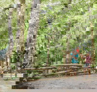 Skip the Line Virginia Living Museum Admission Ticket - Accommodation Missouri