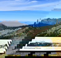 Hurricane Ridge Guided Tour in Olympic National Park - Accommodation Missouri