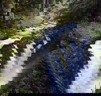 Sol Duc Falls Guided Tour in Olympic National Park - Accommodation Missouri