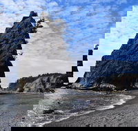 Hoh Rain Forest and Rialto Beach Guided Tour in Olympic National Park - Accommodation Missouri