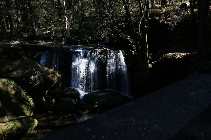 Private Border Corner Tour In Washington - thumb 3