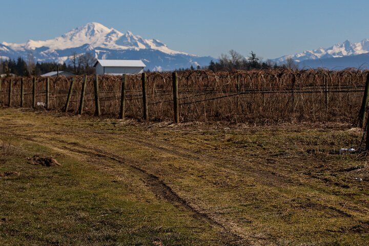 Private Border Corner Tour In Washington - thumb 5