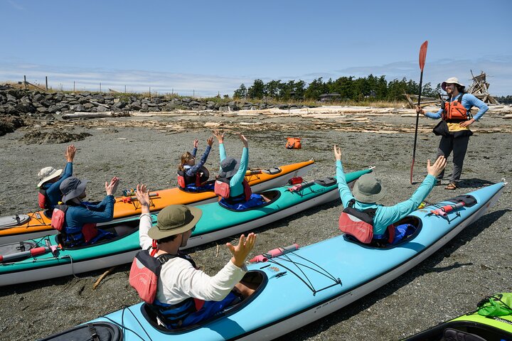 Guided Kayak Tour on San Juan Island