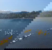 Half-Day Sea Kayaking Trip Near Olympic National Park - Accommodation Missouri