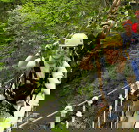 New River Gorge Zip Line Canopy Tour - Accommodation Missouri