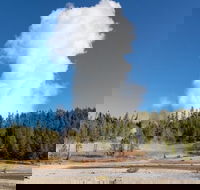 Full-Day Private Safari of Yellowstone - Accommodation Missouri