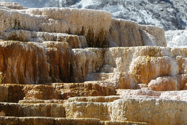 Full-Day Private Safari Of Yellowstone - thumb 2