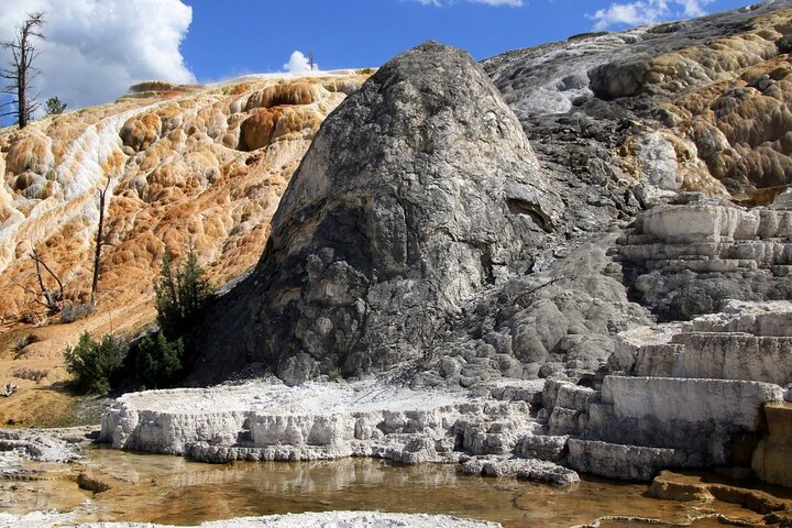 Full-Day Private Safari Of Yellowstone - thumb 3