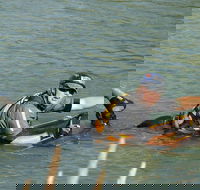 Red Canyon River Trips 100pm - Accommodation Missouri