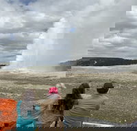 Yellowstone Open Air Tours by Cody Wyoming Adventures - Accommodation Missouri