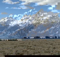 Grand Loop Yellowstone Wildlife and Photo Tour - Accommodation Missouri