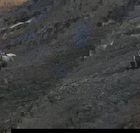 Yellowstones Upper Loop Tour smaller group sizes for better tour experience - Accommodation Missouri