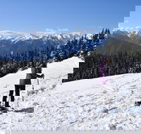 Hurricane Ridge Guided Snowshoe Tour in Olympic National Park - Accommodation Missouri