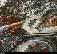 Private Historic Savannah Tour in a Vintage Citron - Accommodation Missouri