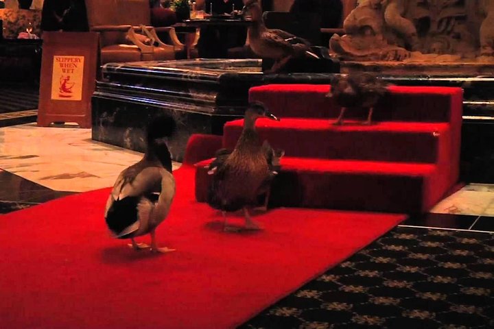 Memphis Discovery Tour