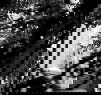 Genteel and Bard's Savannah Dark History and Ghost Walking Tour - Accommodation Missouri