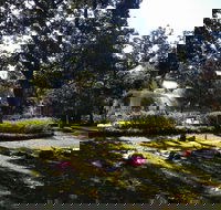 Yoga in Forsyth Park - Accommodation Missouri