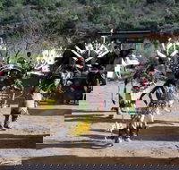 Half-Day Salt River Raft Trip - Accommodation Missouri