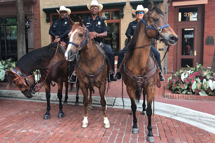 Fort Worth Highlights Tour - thumb 3