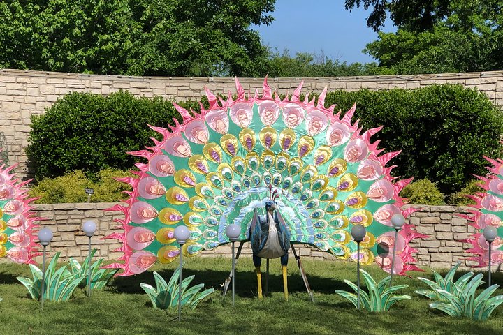 Fort Worth Highlights Tour - thumb 5