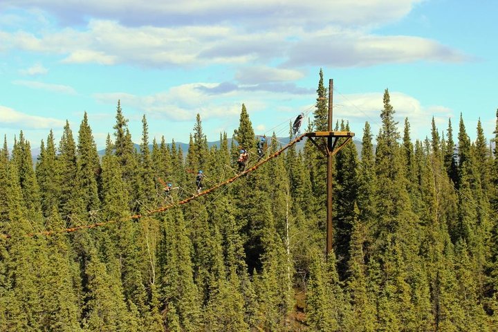 Denali Park Zipline Adventure