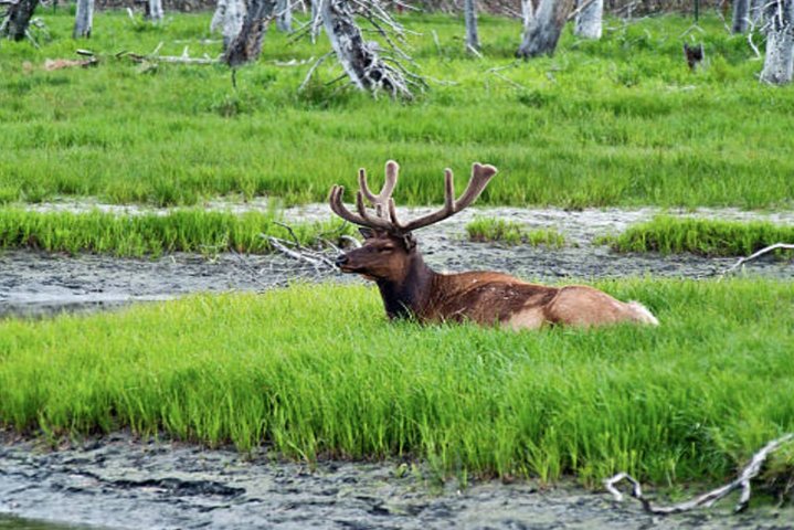 Book Viator Accommodation Vacations, Accommodation Missouri Accommodation Missouri